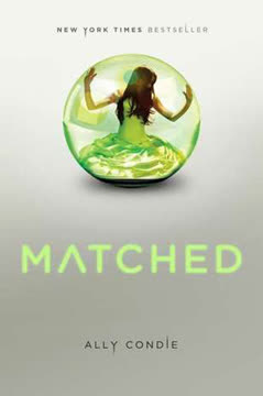 Matched Summary