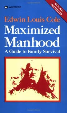 Maximized Manhood Summary