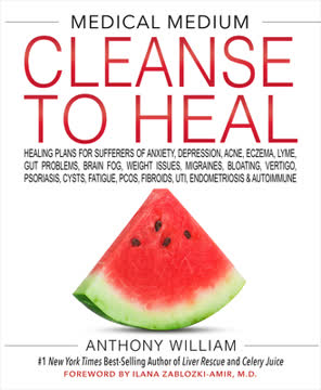 Cleanse to Heal Summary
