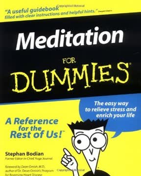 Meditation for Dummies Summary
