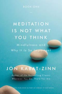 Meditation Is Not What You Think Summary