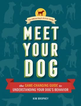 Meet Your Dog Summary