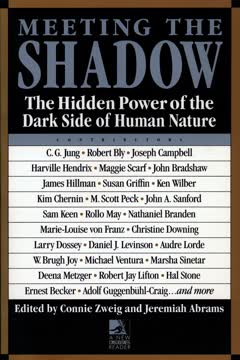 Meeting the Shadow Summary