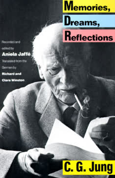 Memories, Dreams, Reflections Summary