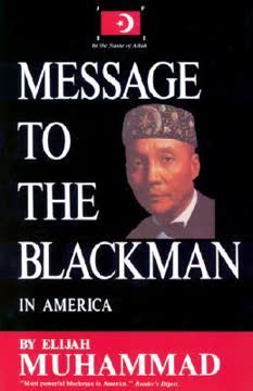 Message to the Blackman in America Summary