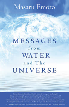 Messages from Water and the Universe Summary