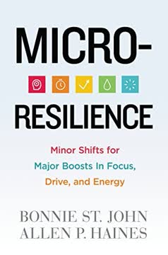 Micro-Resilience Summary