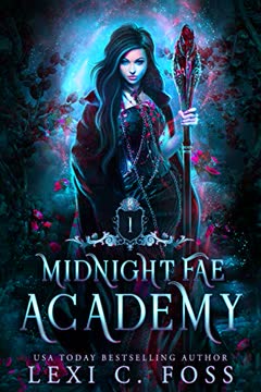 Midnight Fae Academy Summary