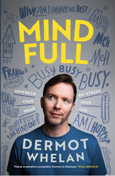 Mind Full Summary