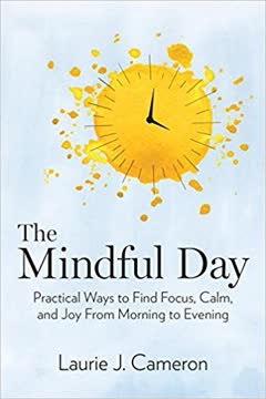 The Mindful Day Summary