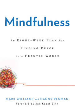 Mindfulness Summary