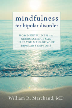 Mindfulness for Bipolar Disorder Summary