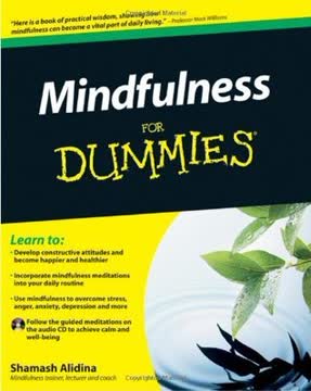 Mindfulness for Dummies Summary