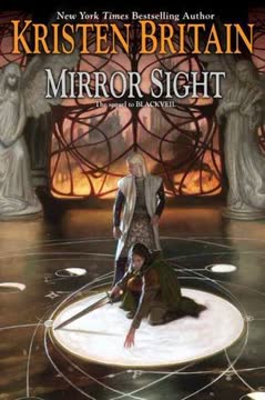Mirror Sight Summary