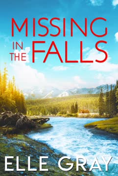Missing in the Falls Summary