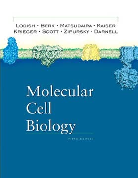 Molecular Cell Biology Summary