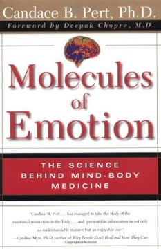 Molecules Of Emotion Summary