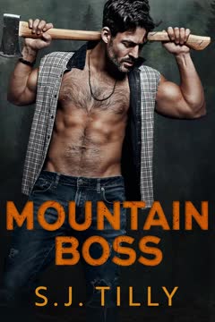 Mountain Boss Summary