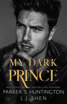 My Dark Prince Summary