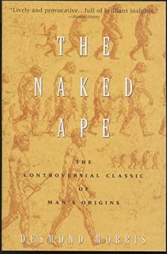 The Naked Ape Summary