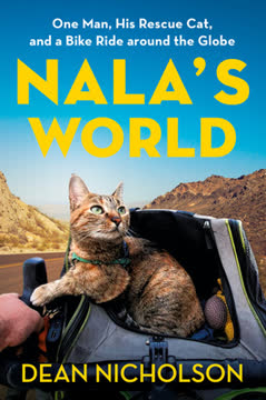 Nala&#039;s World Summary