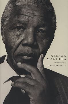 Nelson Mandela Summary