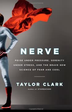 Nerve Summary