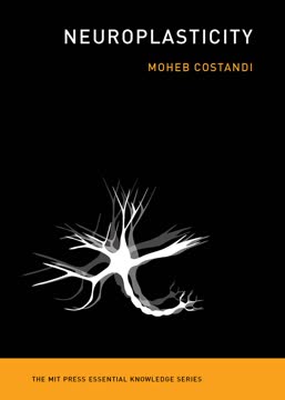 Neuroplasticity Summary