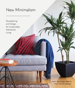 New Minimalism Summary
