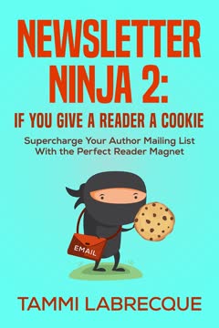Newsletter Ninja 2 Summary