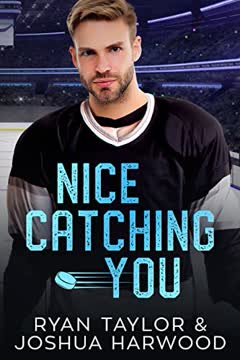 Nice Catching You Summary