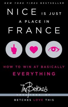Nice is Just a Place in France Summary