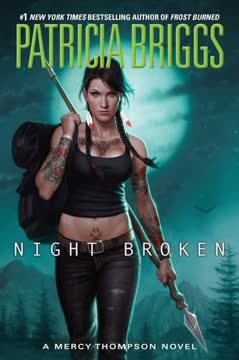 Night Broken Summary