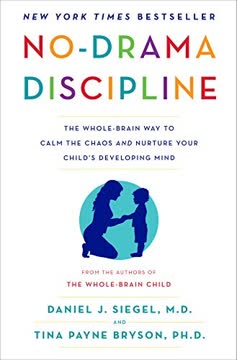 No-Drama Discipline Summary