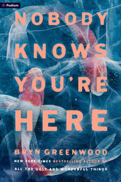 Nobody Knows You&#039;re Here Summary