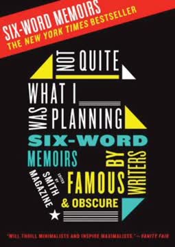 Not Quite What I Was Planning Summary