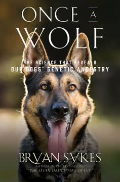 Once a Wolf Summary