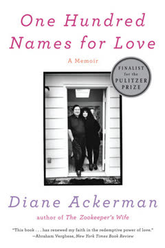 One Hundred Names for Love Summary