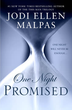 One Night Promised Summary
