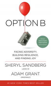Option B Summary