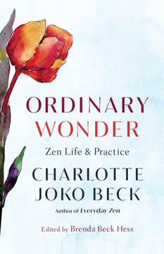 Ordinary Wonder Summary