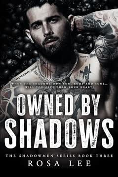 Owned by Shadows Summary