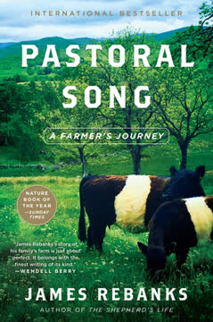 Pastoral Song Summary