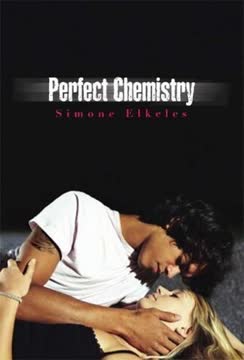 Perfect Chemistry Summary