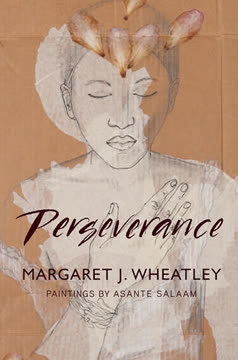 Perseverance Summary