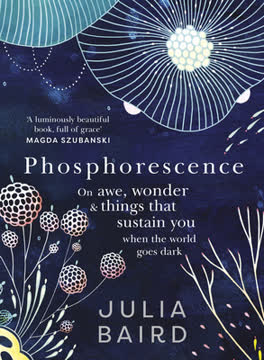 Phosphorescence Summary