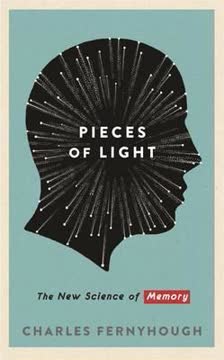 Pieces of Light Summary