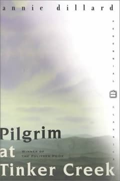 Pilgrim at Tinker Creek Summary