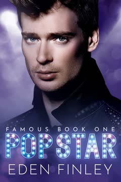 Pop Star Summary