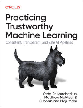 Practicing Trustworthy Machine Learning Summary